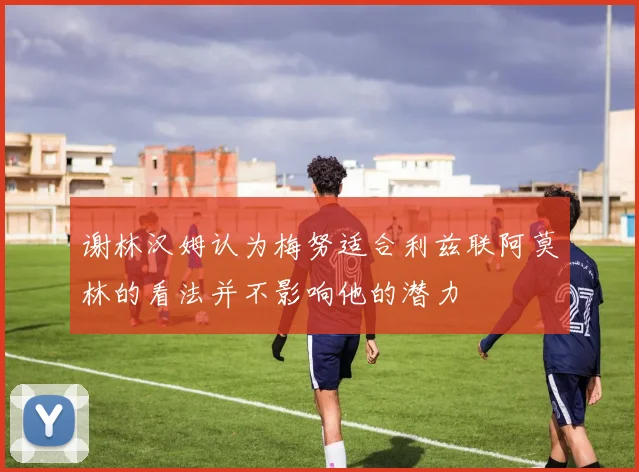 谢林汉姆认为梅努适合利兹联阿莫林的看法并不影响他的潜力
